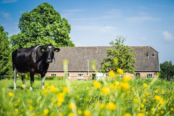 Bij Ons Boerderijwinkel & Kaasmakerij - Boerderijwinkel ...